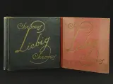 Lot van 2 chromo's liebig boeken – kavel bij De Kringwinkel, Antwerpen
