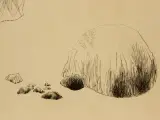 Rudy de Rybel (1949–2025) litho – Meester-magiër Iskander, 1974 – foto 7 – kavel bij De Kringwinkel, Antwerpen