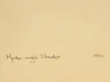 Rudy de Rybel (1949–2025) litho – Meester-magiër Iskander, 1974 – foto 8 – kavel bij De Kringwinkel, Antwerpen