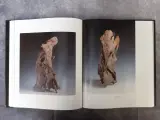 Boek: Carmen Dionyse: My Art, My Universe 2 – foto 5 – kavel bij De Kringwinkel, Gent