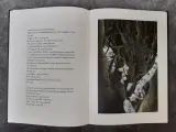 Boek: De Blauwe Vogel – foto 5 – kavel bij De Kringwinkel, Gent