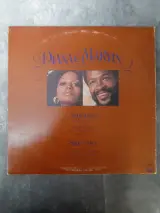 Vinyl: Diana & Marvin – foto 4 – kavel bij De Kringwinkel, Gent