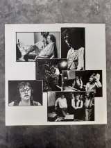 Vinyl: Kamiel in België - Raymond van het Groenewoud Live – foto 4 – kavel bij De Kringwinkel, Gent