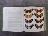 Boek: Duo van wetenschappelijke boeken; Het Biologie Boek & Het Scheikunde Boek – foto 7 – kavel bij De Kringwinkel, Gent