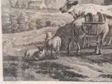 Antieke gravure naar Adriaen van de Velde door François Basan - "Le retour des champs" (Het terugkeren van de velden) – foto 7 – kavel bij De Kringwinkel, Gent