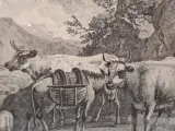 Antieke gravure naar Adriaen van de Velde door François Basan - "Le retour des champs" (Het terugkeren van de velden) – foto 8 – kavel bij De Kringwinkel, Gent
