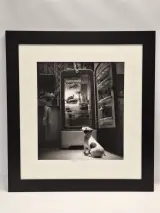 Ingelijste zwart-wit kunstfoto - hond voor een openstaande vintage koelkast (inlijsting door Schleiper) – kavel bij De Kringwinkel, Gent