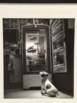 Ingelijste zwart-wit kunstfoto - hond voor een openstaande vintage koelkast (inlijsting door Schleiper) – foto 2 – kavel bij De Kringwinkel, Gent