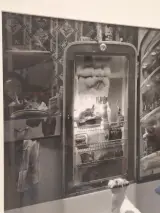 Ingelijste zwart-wit kunstfoto - hond voor een openstaande vintage koelkast (inlijsting door Schleiper) – foto 4 – kavel bij De Kringwinkel, Gent