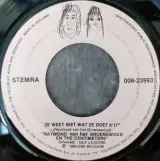 Vinyl: Set van 5 Raymond Van Het Groenewoud singles (45rpm) – foto 16 – kavel bij De Kringwinkel, Gent