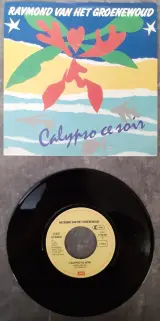 Vinyl: Set van 5 Raymond Van Het Groenewoud singles (45rpm) – foto 9 – kavel bij De Kringwinkel, Gent