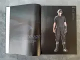 Boek: Final Fantasy Official Strategy Guide – foto 4 – kavel bij De Kringwinkel, Gent
