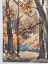 Set van 4 antieke/vintage aquarellen - kust, duinen en bos - gesigneerd Th. Tavernier (1962-1964) – foto 19 – kavel bij De Kringwinkel, Gent