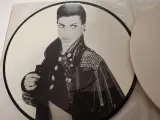 Lot Prince Lp en Single"s – foto 8 – kavel bij De Kringwinkel, Herzele