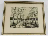 Frühling in der Heide | Orig. Radierung – kavel bij De Kringwinkel, Maasmechelen