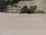 Frühling in der Heide | Orig. Radierung – foto 4 – kavel bij De Kringwinkel, Maasmechelen
