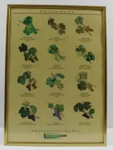 Oostenrijkse Wijnposter [1986] – kavel bij De Kringwinkel, Maasmechelen