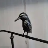 RVS Wiebel, Vogels – foto 2 – kavel bij Onlineveilingmeester, Groningen