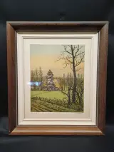 Kleuren ets Emiel De Cooman – kavel bij De Kringwinkel, Ninove