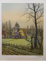 Kleuren ets Emiel De Cooman – foto 2 – kavel bij De Kringwinkel, Ninove