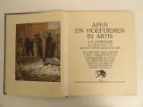 3 Verkade-plaatjesalbums (1931, 1938, 1940) – foto 14 – kavel bij De Kringwinkel, Leopoldsburg