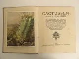 3 Verkade-plaatjesalbums (1931, 1938, 1940) – foto 4 – kavel bij De Kringwinkel, Leopoldsburg