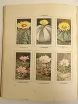 3 Verkade-plaatjesalbums (1931, 1938, 1940) – foto 6 – kavel bij De Kringwinkel, Leopoldsburg