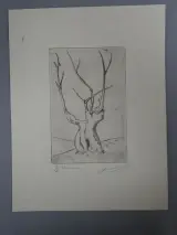 Set van 6 kunstprenten op papier – foto 7 – kavel bij De Kringwinkel, Diest