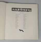 Reinaert de Vos, Middelnederlands, geïllustreerd boek – foto 4 – kavel bij De Kringwinkel, Sint-Niklaas