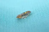Diamant - 0.49 carat natuurlijke champagne gekleurde marquise diamant (gecertificeerd) – foto 3 – kavel bij Onlineveilingmeester