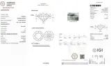 Diamant - 1.02 carat natuurlijke briljant geslepen diamant (gecertificeerd) – foto 3 – kavel bij Onlineveilingmeester
