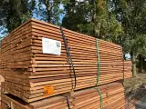 Ca. 230x Guyana Teak Beschoeiingsplanken, 20x100mm, lengte 108/200cm, 122/250cm – foto 4 – kavel bij Onlineveilingmeester