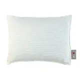 2x Warmte kussen The Comfort Gift, 45x60 cm, beige – kavel bij Onlineveilingmeester
