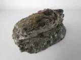 Verzameling mineralen, fossielen en schelpen met opbergdoos – foto 2 – kavel bij De Kringwinkel, Heverlee