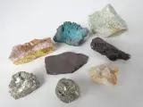 Verzameling mineralen, fossielen en schelpen met opbergdoos – foto 3 – kavel bij De Kringwinkel, Heverlee