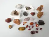 Verzameling mineralen, fossielen en schelpen met opbergdoos – foto 5 – kavel bij De Kringwinkel, Heverlee