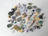 Verzameling mineralen, fossielen en schelpen met opbergdoos – foto 6 – kavel bij De Kringwinkel, Heverlee