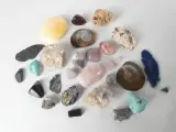 Verzameling mineralen, fossielen en schelpen met opbergdoos – foto 7 – kavel bij De Kringwinkel, Heverlee