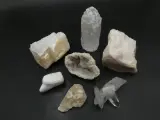 Verzameling mineralen, fossielen en schelpen met opbergdoos – foto 9 – kavel bij De Kringwinkel, Heverlee