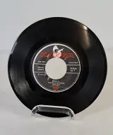 Lot van 34 vintage vinylsingles met originele hoezen – foto 14 – kavel bij De Kringwinkel, Turnhout