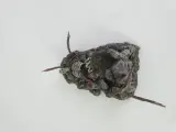 Hellspawn Trio: De Ultieme McFarlane 'Battle-Damaged' Bundel (1998-2000) – foto 12 – kavel bij De Kringwinkel, Heverlee