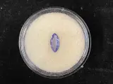 Edelsteen - Blauw-Paarse edelsteen – kavel bij Onlineveilingmeester