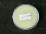 Edelsteen - Blauw-Paarse edelsteen – foto 2 – kavel bij Onlineveilingmeester