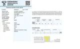 Diamant - 0.35 carat natuurlijke diamant (gecertificeerd) – foto 4 – kavel bij Onlineveilingmeester