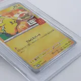 Kaart, Pokémon, Pickachu McDonalds Promo 020/M-P, 2025 – foto 15 – kavel bij Domeinen Roerende Zaken, Groningen