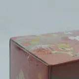 Kaarten box, Pokémon, Hiroshima’s Pikachu Pokémon Center Box, 2025 – foto 7 – kavel bij Domeinen Roerende Zaken, Groningen
