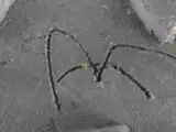 Groene keramische bolvormige vaas – foto 6 – kavel bij De Kringwinkel, Heverlee