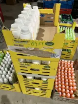 Ca. 84x Milk Shake activerende emulsie, Z-One – kavel bij Onlineveilingmeester, Kootstertille