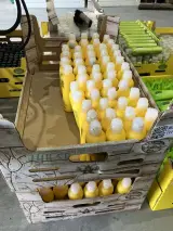 Ca. 117x Volumegevende conditioner, Urban Tribe – foto 4 – kavel bij Onlineveilingmeester, Kootstertille
