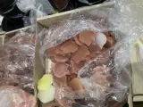 Ca. 260x Doosjes waxmelts – foto 3 – kavel bij Onlineveilingmeester, Kootstertille